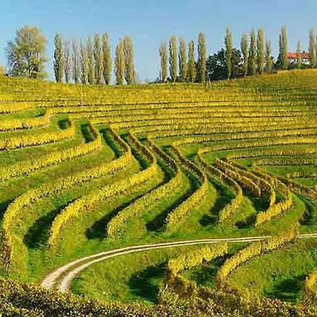 Garni Tamara Szálloda 3*