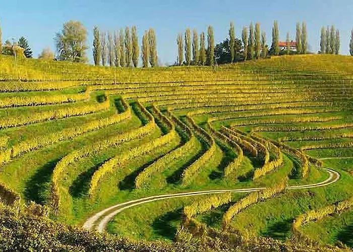 Hotel Garni Tamara Moravske Toplice